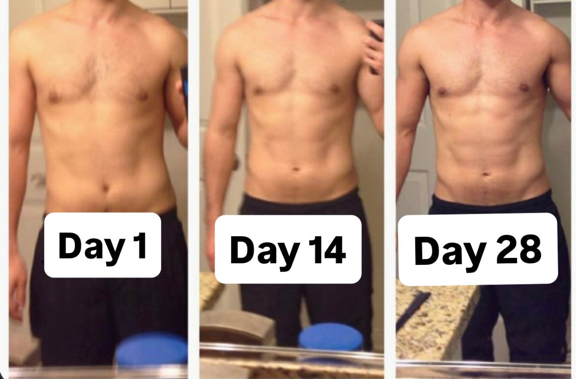 28 DAY BODY RESET - NO GYM NEEDED